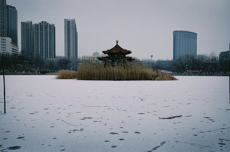 武当传人在异界txt 陈师行的武功确实有独特之处