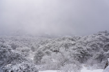 龙虎山天师府(龙虎山天师府——登天下文化遗产名录的玄门圣地)